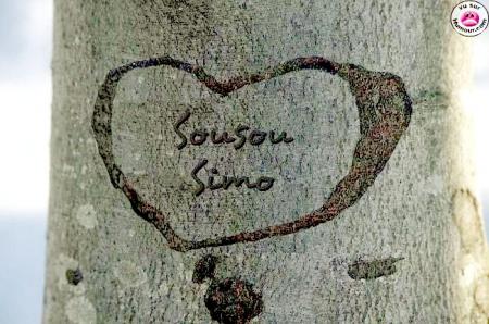 love
